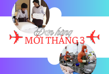 banner-don-hang-moi-t3-25-1160x787